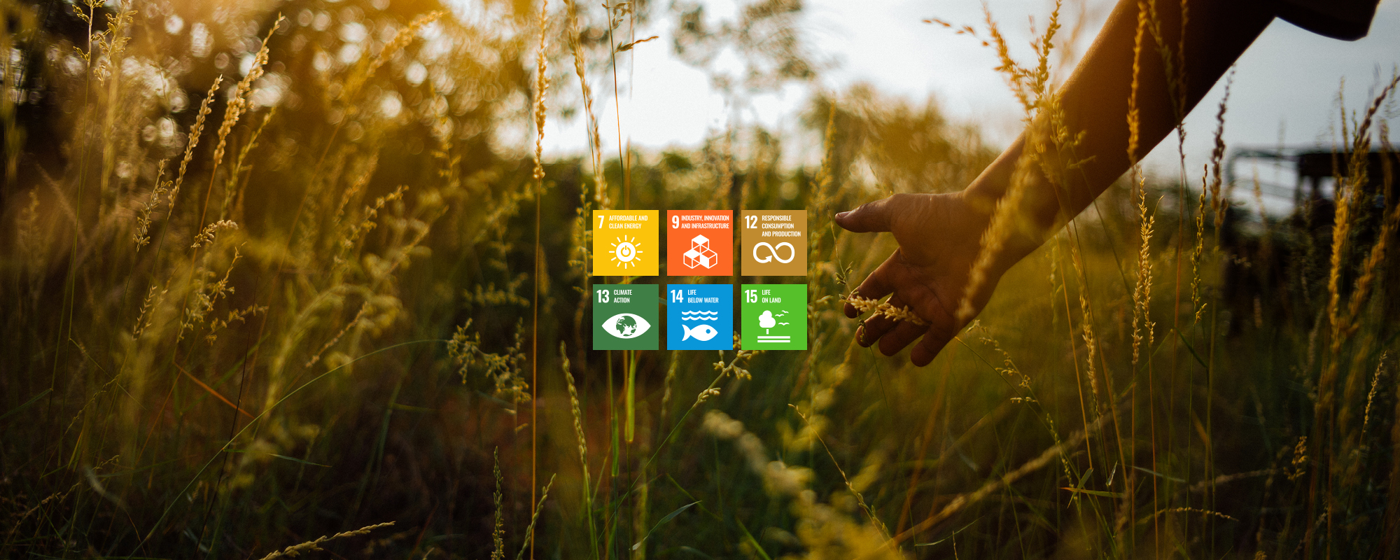 图片来源：德比尔斯集团